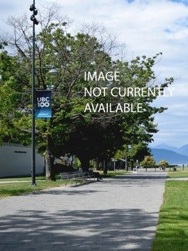 university of british columbia english phd