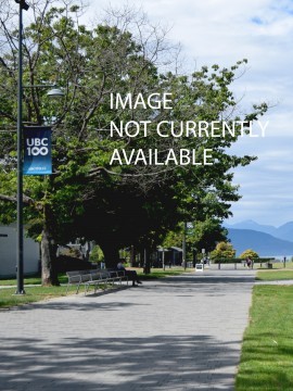 university of british columbia english phd